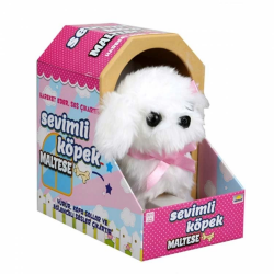 Mey İthalat®  Sevimli Köpek Maltese