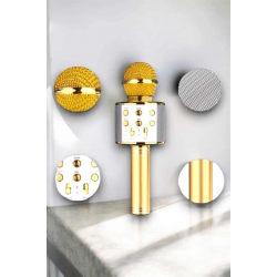 Mey İthalat® Taşınabilir Bluetooth Karaoke Mikrofon: Hafıza Kart Girişli, Etkileyici Performans