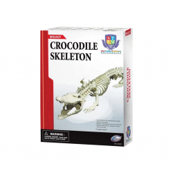 Mey İthalat® Timsah İskeleti Bilim Seti