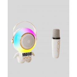 Mey İthalat® TK-66 KARAOKE SPEAKER