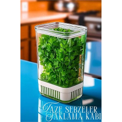 Mey İthalat® Yeşillik Saklama Kabı - Taze Yeşillik İçin - Soğan Maydanoz vb Yeşillik Saklama