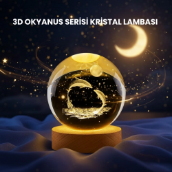 Mey İthalat® Yunus Figürlü LED Kristal Küre Ahşap Standlı Dekoratif Gece Lambası