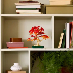 Mey İthalat® 10348  iconic Japon Akçaağaç Bonsai Ağacı 474 parça +18 yaş