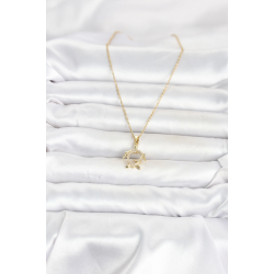 Mey İthalat® 316L Çelik Zincir Gold Renk Caretta Caretta Model Kadın Kolye
