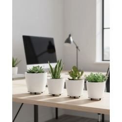 Mey İthalat® 4’lü 3D Beyaz Minimal Dekoratif Vazo Ayaklı Saksı Takımı