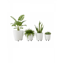 Mey İthalat® 4’lü 3D Modern Beyaz Vazo Takımı Ayaklı Dekoratif Saksı Seti