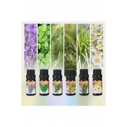 Mey İthalat® 6'lı Ekonomi karışık SET Esansiyel Uçucu Yağı Buhardanlık Difüzör Esansı Oda Kokusu