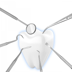 Mey İthalat®  6 Parça Kutulu Ağız Bakımı Diş Bakım Seti Ağız Hijyen Takımı