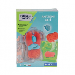 Mey İthalat® 64742 Bilim ve Oyun - Anatomi Seti