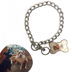 Mey İthalat®  65 cm Uzunlukta Zincir Model Köpek İçin Boyun Tasması