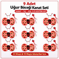 Mey İthalat® 9’lu Uğur Böceği Kostüm Seti – Kanat Taç Asa