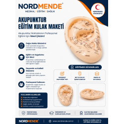 Mey İthalat®  Akupunktur Eğitim Kulak Maketi Auriküloterapi Nokta Gösterim Anatomik Eğitim Modeli