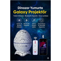 Mey İthalat® Bluetooth Hoparlörlü RGB Gece ası – Dinazor yumurtası Işıklı, Uzaktan Kumandalı Dekor a