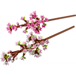 Mey İthalat® Cherry Blossoms