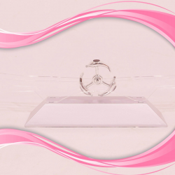 Mey İthalat®  Dekoratif Masa Üstü Obje Manyetik Kinetik Orbital Dönen Yunuslar