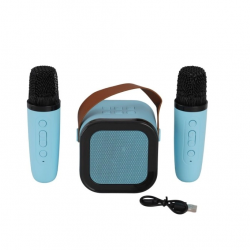 Mey İthalat® EMR-102 KUTULU 2Lİ KARAOKE MİKROFON