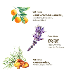 Mey İthalat®   Erkek Roll On Deodorant 75 ml Sport