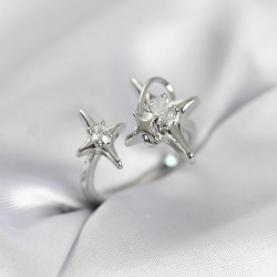 Mey İthalat® Gümüş Renk Kutup Yıldızı Model Zirkon Taşlı Kadın Yüzük