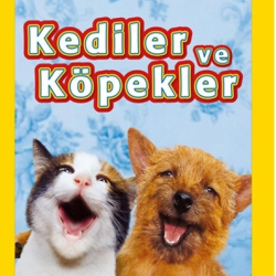 Mey İthalat® Kediler ve Köpekler