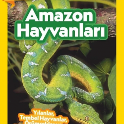 Mey İthalat®  Kids – Amazon Hayvanları