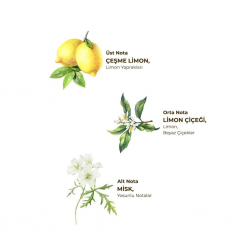 Mey İthalat®   Kolonya Pet Şişe Sprey 150 ml Çeşme Limonu