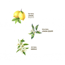 Mey İthalat®   Kolonya Pet Şişe Sprey 150 ml Limon