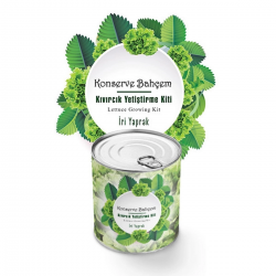 Mey İthalat®  Konserve Bahçem Evde Konservede İri Yapraklı Kıvırcık Yetiştirme Kiti