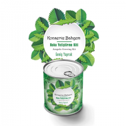 Mey İthalat®  Konserve Bahçem Evde Konservede İri Yapraklı Roka Yetiştirme Kiti