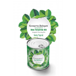 Mey İthalat®  Konserve Bahçem Evde Konservede İri Yapraklı Roka Yetiştirme Kiti