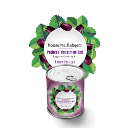 Mey İthalat®  Konserve Bahçem Evde Konservede  Kemer PatlıcanYetiştirme Kiti