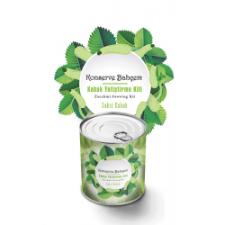 Mey İthalat®  Konserve Bahçem Evde Konservede Sakız Kabak Yetiştirme Kiti