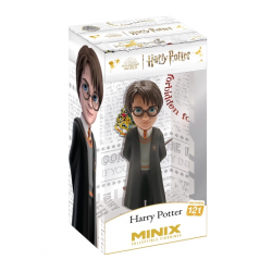 Mey İthalat®  Minix Harry Potter