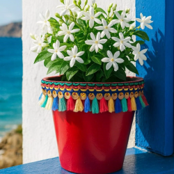 Mey İthalat®  DEKORATİF SAKSI 1.7 LİTRE Kırmızı