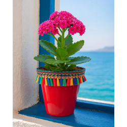 Mey İthalat®  DEKORATİF SAKSI 1.7 LİTRE Kırmızı