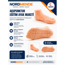 Mey İthalat®  Akupunktur Eğitim Ayak Maketi Anatomik Refleksoloji Nokta Gösterim Modeli Eğitim Maketi