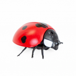 Mey İthalat® Oyuncak Işıklı Uğurböceği