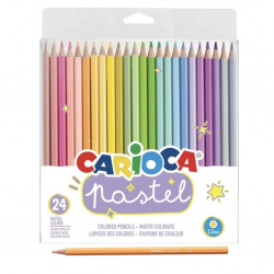 Mey İthalat®  Pastel Renkli Kuru Boya Kalemi 24'lü