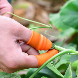 Mey İthalat® Pratik Baş Parmak Sebze Kesme Ayıklayıcı Erkek L Set