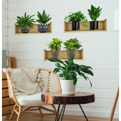 Mey İthalat® Raflı Bitki Tasarımlı Yapışkanlı Sticker 20*30 cm 3lü Set MC-663