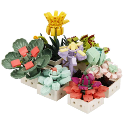 Mey İthalat® S00004685 BLX FLOWER SET SCULENT 971 PRÇ -SUN