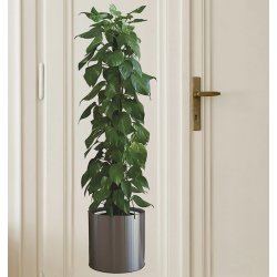 Mey İthalat® Saksılı Bitki Tasarımlı Yapışkanlı Sticker Resim 90*30 cm MC-665