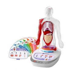 Mey İthalat® Sesli İnsan Vücudu Modeli Bilim Seti