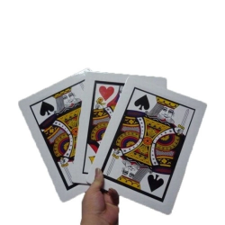 Mey İthalat® Sihirbaz Kartları 3 Kart