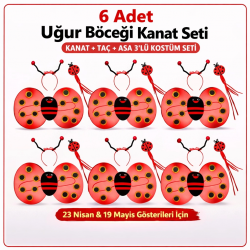 Mey İthalat® Uğur Böceği Kostüm Seti – Kanat Taç Asa