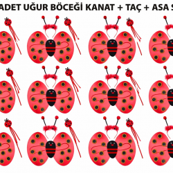 Mey İthalat® Uğur Böceği Kostüm Seti - Kanat Taç Asa 3 Parça 12 Adet