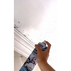 Mey İthalat® Vodaseal Anti Küf Yalıtım Boyası Sprey 500 ml