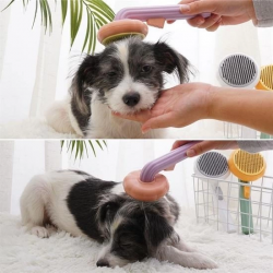 Mey İthalat Plastik Yeşil Evcil Hayvan Bakım  Pet Fırçası Çok Amaçlı Pet Fırçası Yeşil